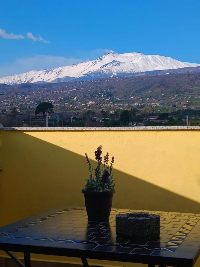 Yellow House Lejlighed Fiumefreddo di Sicilia Eksteriør billede